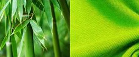 Bambu i soja
